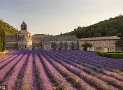 mgm美高梅国际官方网站-法国杯倒计时，毕尔巴鄂竞技今晨豪取连胜，细节引发关注，震撼外界，赛季目标并未改变